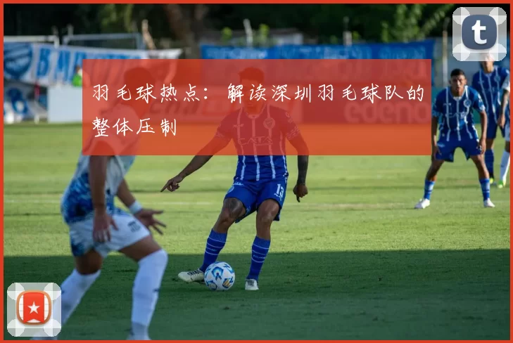 羽毛球热点：解读深圳羽毛球队的整体压制