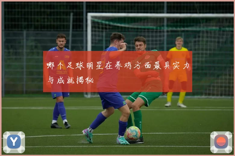 哪个足球明星在养鸡方面最具实力与成就揭秘