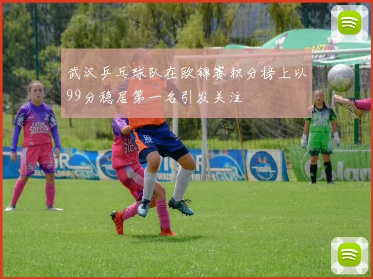 武汉乒乓球队在欧锦赛积分榜上以99分稳居第一名引发关注