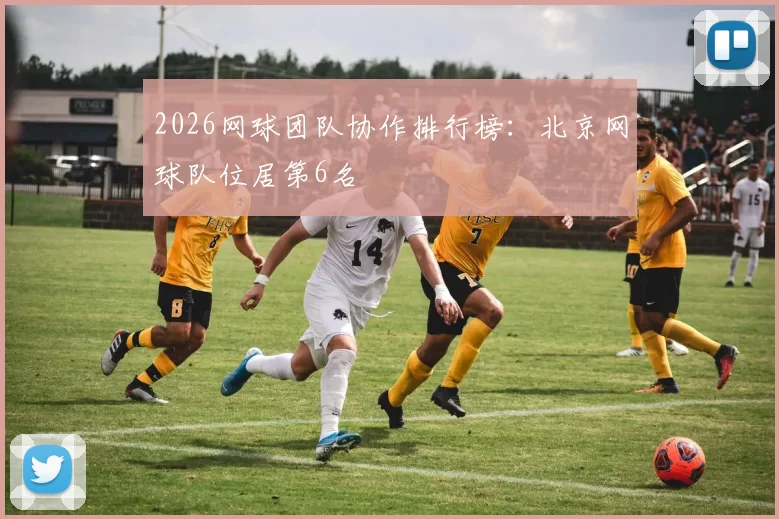 2026网球团队协作排行榜：北京网球队位居第6名