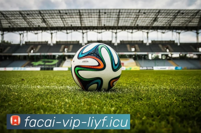 乐鱼体育发展历程